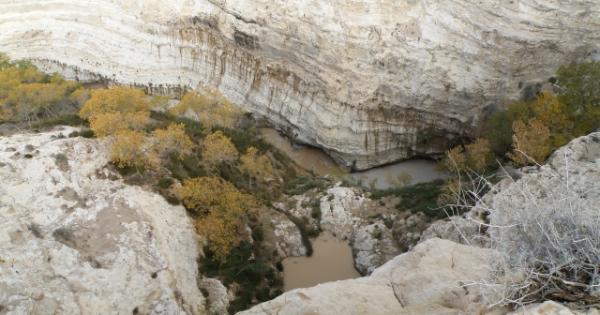 Blick ins Wadi (2)
