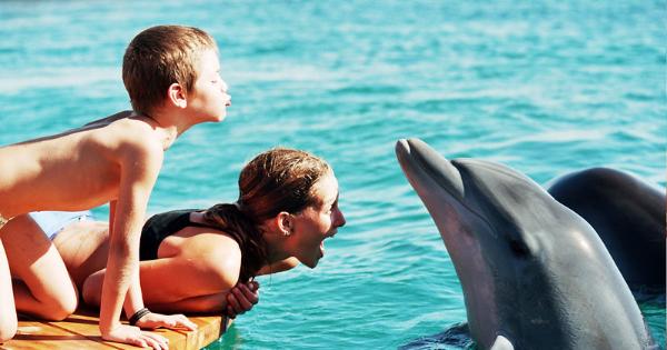 Delfin mit Kinder